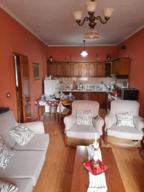 Beautiful 2 room apartment 5 Minutes from Center of Shkodra